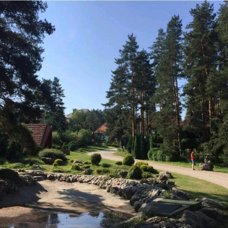 Apartamento Kraljevi Konaci Olja Zlatibor Exterior foto