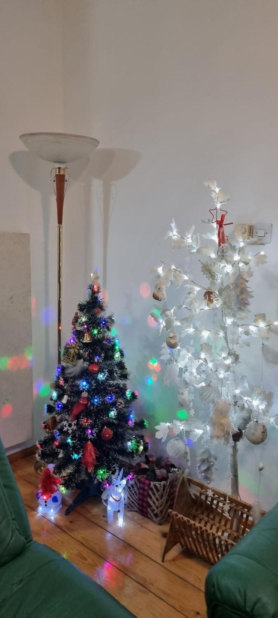 Apartamento Kraljevi Konaci Olja Zlatibor Exterior foto